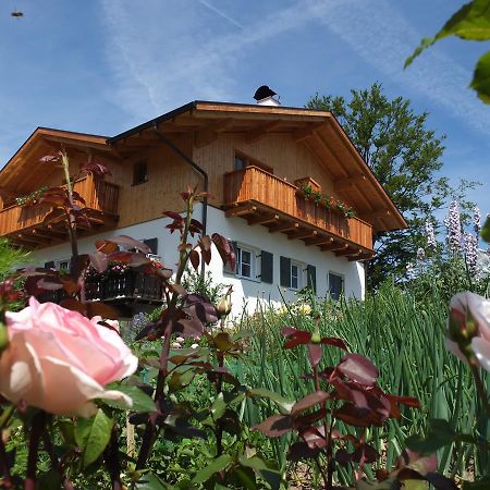 Haus Schlernblick Apartman Nova Ponente Kültér fotó