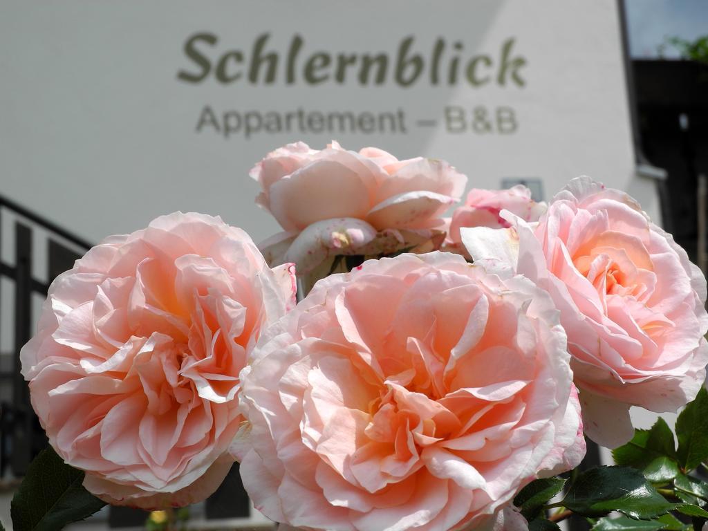 Haus Schlernblick Apartman Nova Ponente Kültér fotó